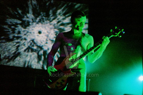 24 TOOL PHOTO SET 1996 ANIMA TOUR 4x6 ORIGINAL MAYNARD JAMES KEENAN DALLAS TX - Picture 17 of 24