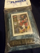 New York Rangers Radek Dvorak Pro Plaques Card Display 
