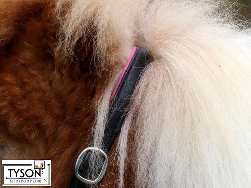 Halfter Vegan Knuffi Minipony Minishetty Schwarz Braun Beige Rosa Pink Glitzer - Bild 10 von 48