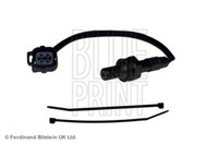 Blue Print ADJ137601 Umlenk-/FüHrungsrolle, Zahnriemen FüR Jaguar Land Rover