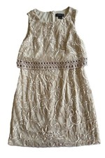 Jessica Howard Petite 12P Champagne Embroidered Cocktail Dress Lined