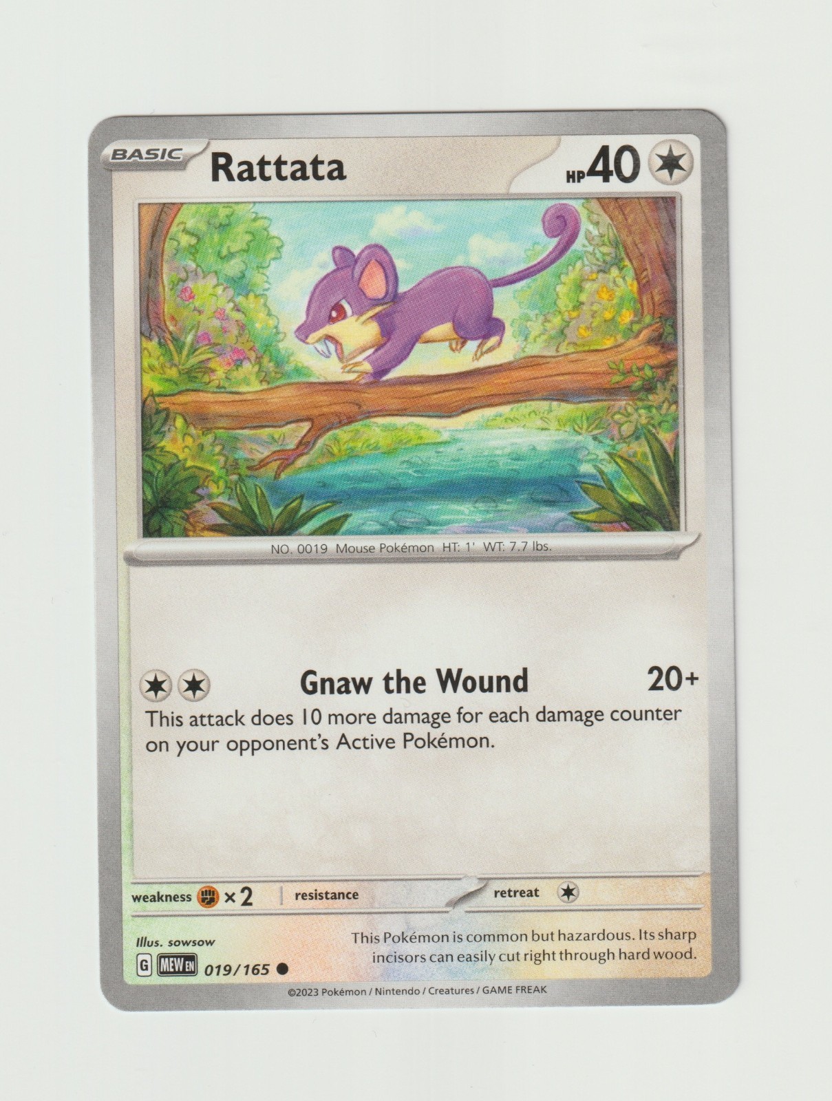 Rattata Pokemon TCG Scarlet & Violet 151 Card 019/165