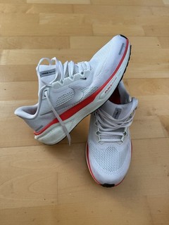 Nike Pegasus Herren Laufschuhe 42 Weiß