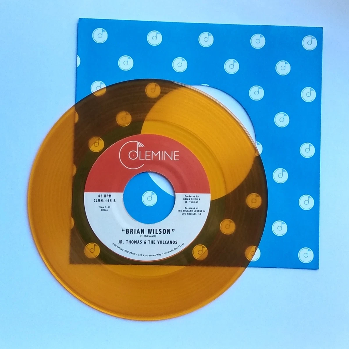 Brian Wilson Single 45 RPM Speed Vinyl Records for sale | eBay