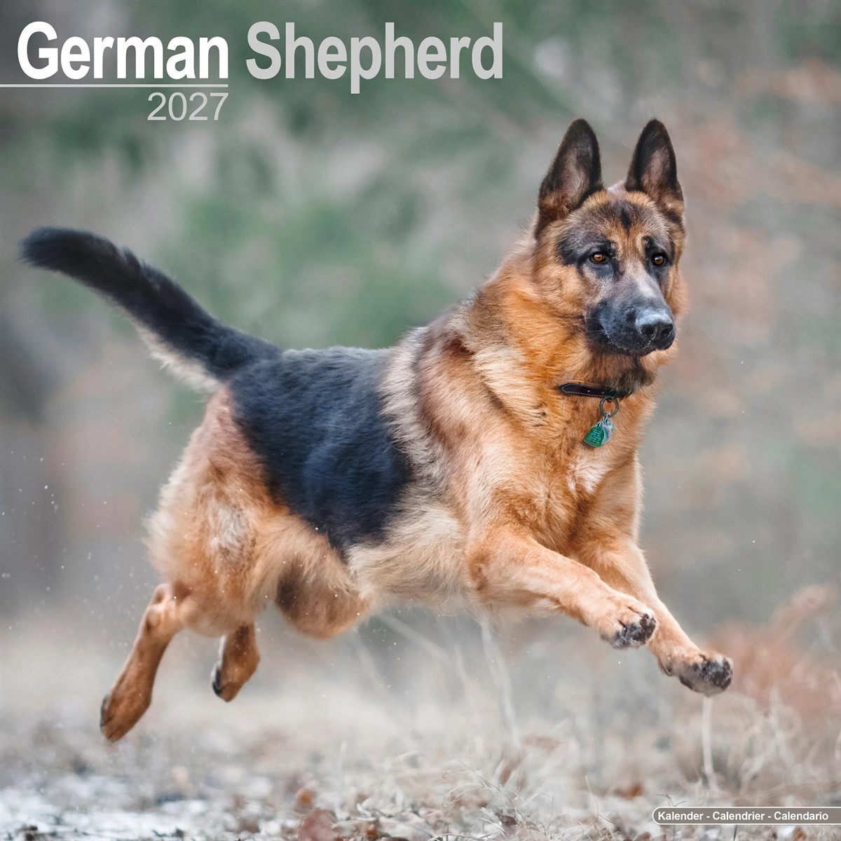 German Shepherd Calendar 2027, Wall Calendars, Month To View, Dogs, Gift