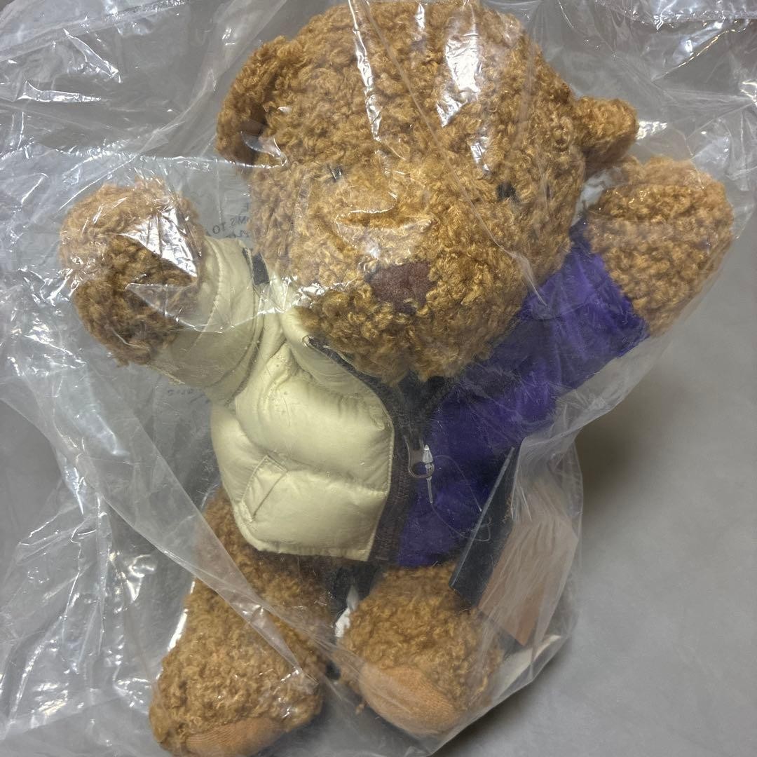 Supreme x North Face Collaboration Bear Graphic Unopened Used