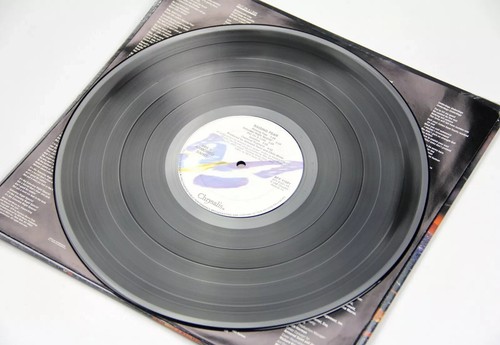 Armored Saint Raising Fear LP Vinyl USA 1987 Shrink Wrap Rare - Foto 17 di 24