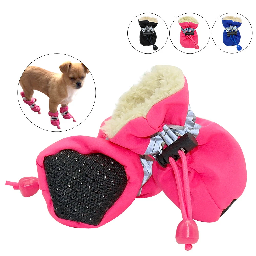Padded dog shop shoes