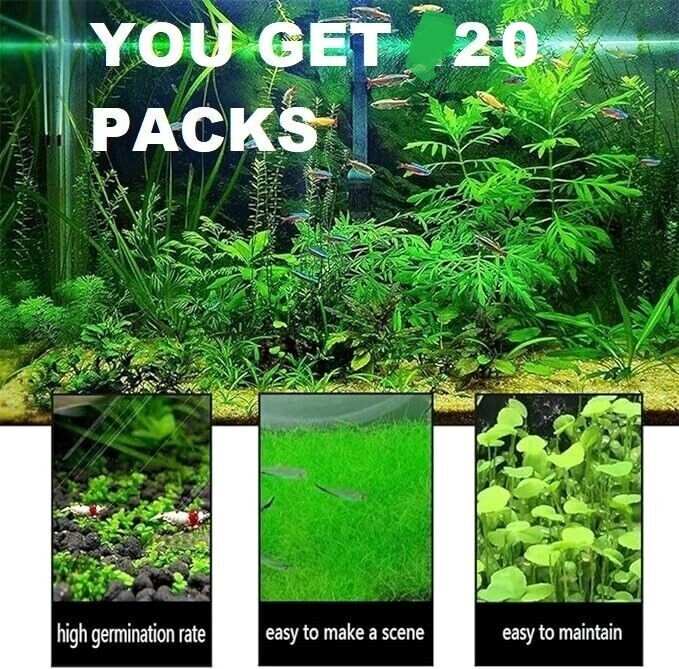 Aquarium Small Leaf Grass (20 Packs) | eBay