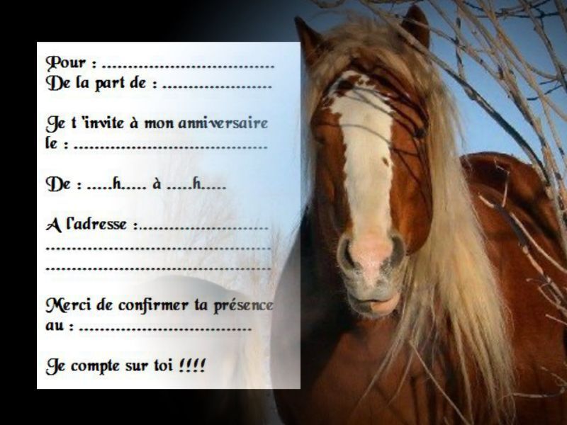 Cartes D'invitation Anniversaire - Lot De 5 Ou 12 - Réf 1084 - Neutres