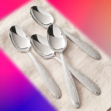 Princess House Amalia 4 Piece Dinner Spoon Ta...