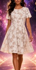SHANI Collection Sz 4 White Floral Mesh Lace Fit & Flare Cocktail Dress NWT