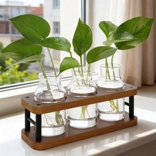 THYGIFTREE Plant Propagation Station with Wooden Stand, Brown   3 Jar