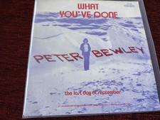 PETER BEWLEY - What youve done 7 1973 Dutch r...