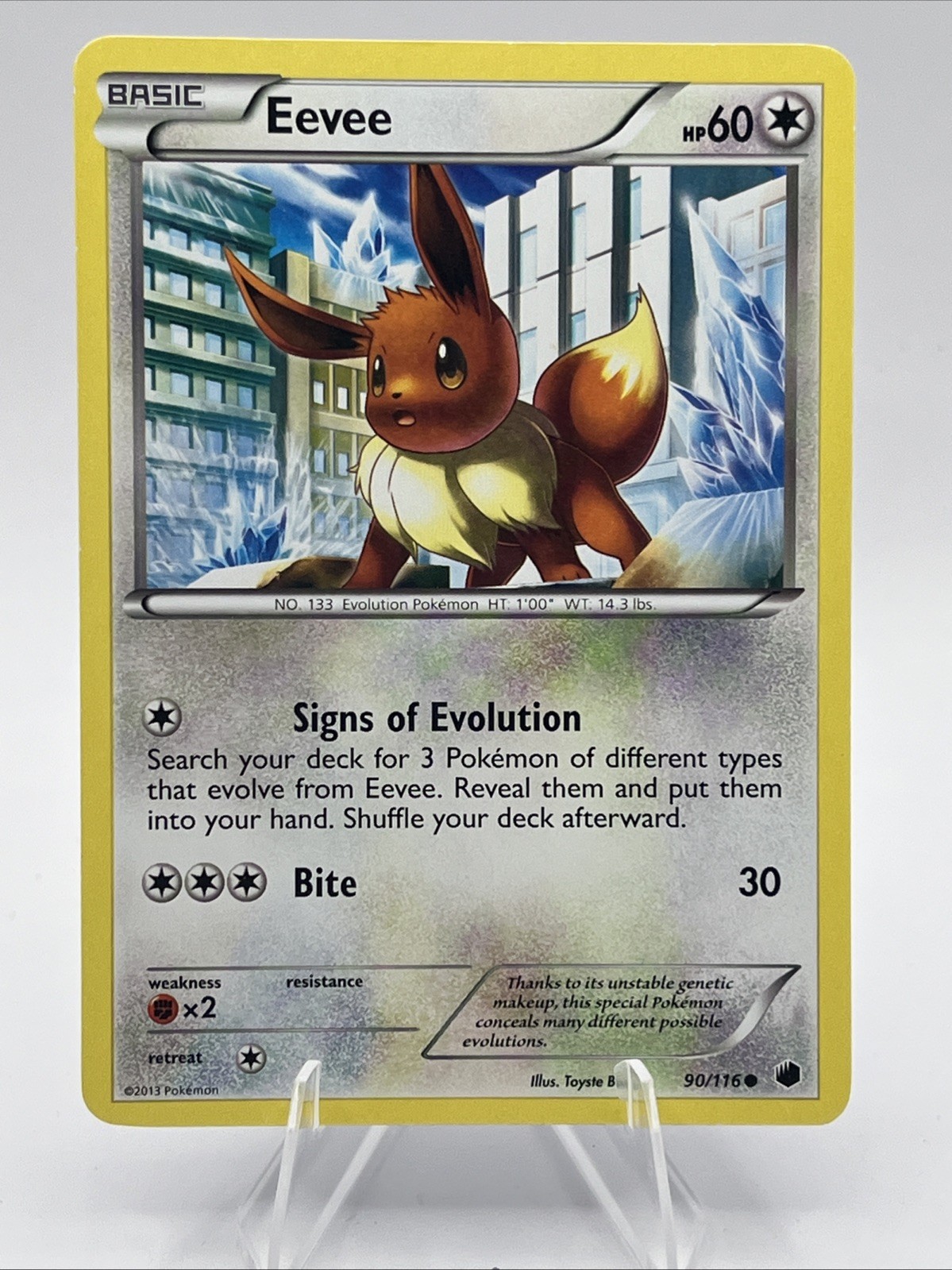 Pokémon Card Eevee TCG Card 90/116 Regular 2013 NM Vintage Rare Plasma Freeze