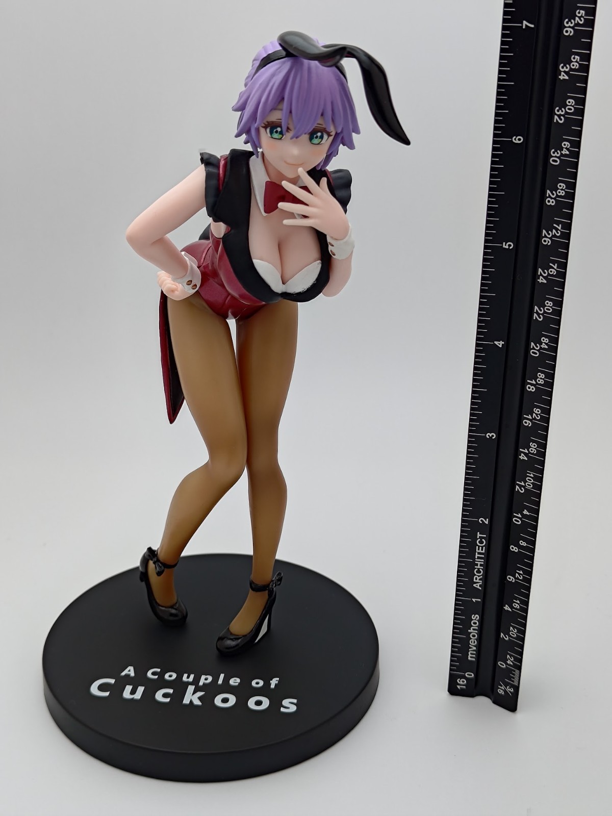 Cuckoo no Iinazuke Segawa Hiro PM Figure SEGA Premium Prize Loose