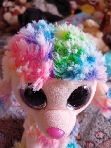 Ty Beanie Boos Rainbow 🌈 The Poodle, Small Soft Toy - 第 10/14 張圖片