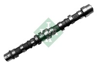Ina Einlassnockenwelle Fiat/Opel 1.3JTD