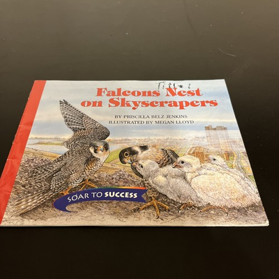 #ad #ad Houghton Mifflin Soar to Success: Falcons Nest Level 4 FALCONS NEST GOOD $5.00