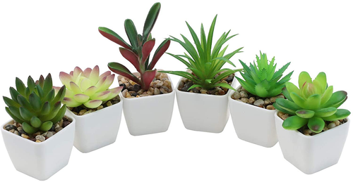 Mini Fake Succulent Plants Artificial Plastic Succulents Potted Faux Assorted Pl