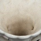 Picture 5 of 6