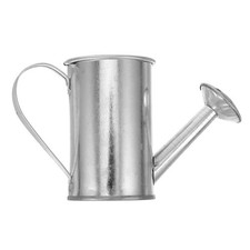 Petit Arrosoir En Métal Pomme D Arrosage Jardin Pot D'arrosage De Fleurs