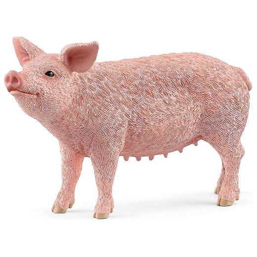 Schleich Pig Looking Up