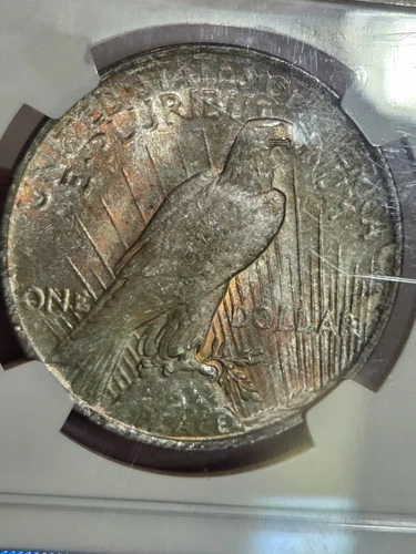 1922 $1 Peace Dollar NGC MS63 Toned