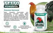 Vitofarma Testo powerful Gallos/Rooster para animales - 100 tabletas