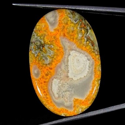 45,40 Cts Natürlicher Bumble Bee Jasper Ovaler Cabochon Lose Edelstein