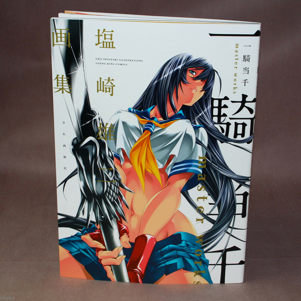 Ikki Tousen Animation Art Masterworks Illustration Shiozaki Yuji First Book 78p For Sale Online Ebay