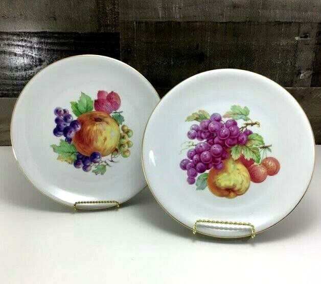 Zeh Scherzer Fine Porcelain Fruit Dinner Plates 10" D Set of 2