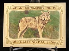 2021 Topps Allen & Ginter Rallying Back #RB-1 Gray Wolf
