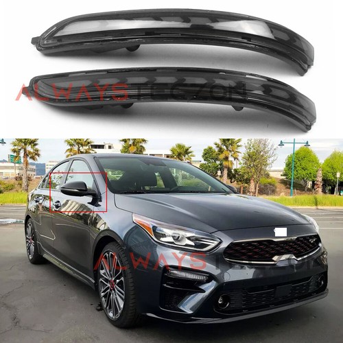 LED Rearview Mirror Turn Light Accessories for Kia K3 Forte Cerato 2019-2021 - Picture 6 of 10