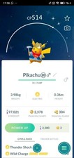 Shiny Pikachu ( Fossil Excavator ) Pokémon T...