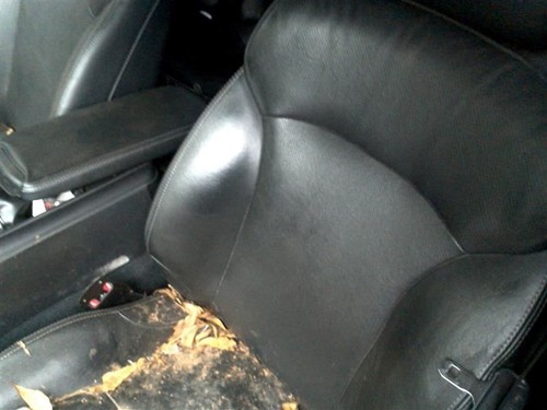 AC Compressor Convertible Fits 06-15 LEXUS IS250 1077141 - Picture 11 of 12