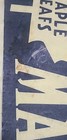 Bild 13 von 15