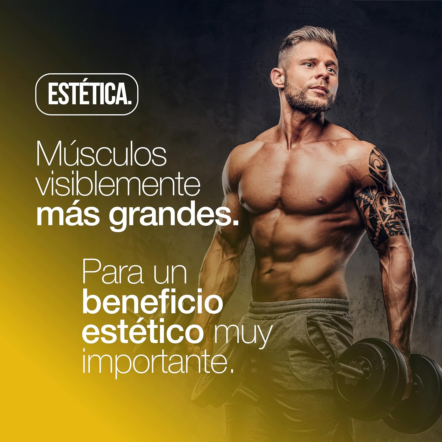 Imagen 4 de 12