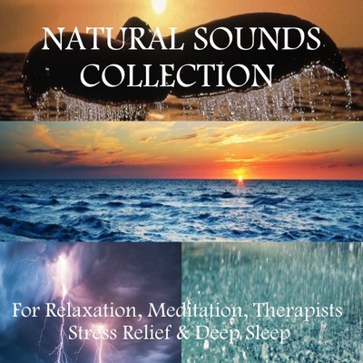 4 X CD's: NATURAL SOUNDS COLLECTION FOR RELAXATION, MEDITATION STRESS, SLEEP SPA