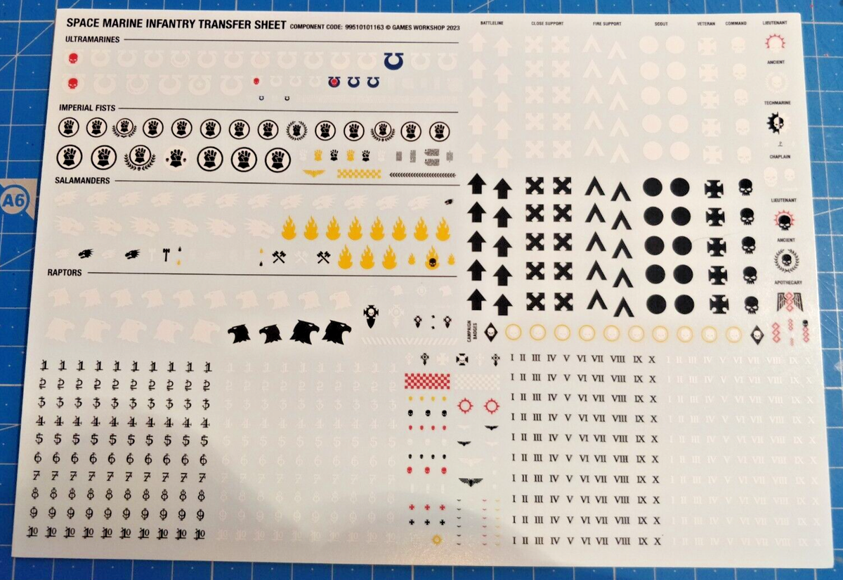 Even The RAPTORS Are On The Transfer Sheet...but Not Us :( : R - Foto 8