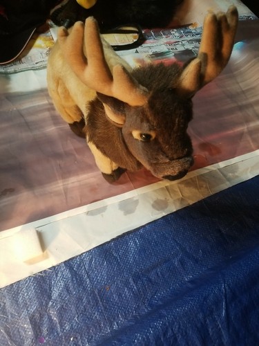 Miyoni by Aurora Buck Deer Reindeer 10 