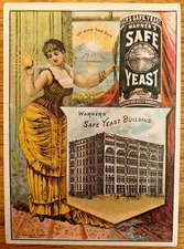 Victorian Trade Card Antique Warner's Safe Yeast Beautiful Woman New York Look!!