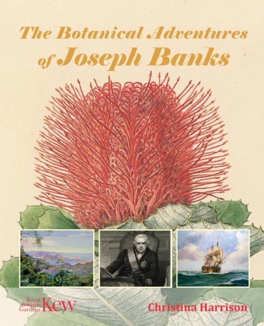 Botanical Adventures Of Joseph Banks
