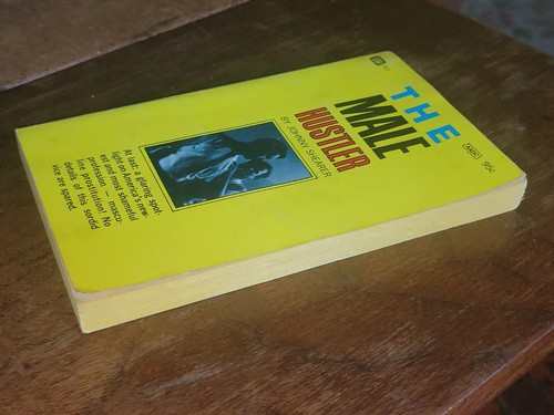 1966 Vintage THE MALE HUSTLER Gay Interest Pulp Paperback JOHNNY SHEARER 1st Ed. - Picture 4 of 10