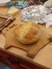 OUR BEST San Francisco sourdough starter yeast over 150 years old S.F.