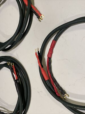 AudioQuest Type 6 6+ Hyperlitz Speaker Cable 11' Long Pair And 5