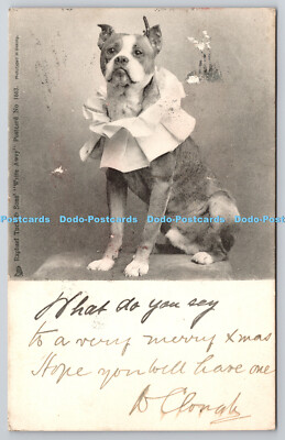 R746063 Dog Tuck Write Away Nr. 1663 PM Bury 1907