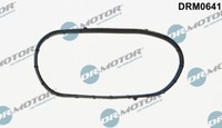 Dr.Motor Automotive DRM0641 Gasket, Timing Case Cover For Fiat