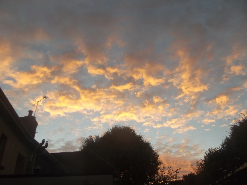 Antique Art Nouveau Brown & White Floral Pattern Tile 6 inch — 第 4/4 张图片