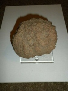Dinosaur Fossilized Fossil Dung, Feces, Coprolite Coprolith w/Stand 20.5 OZ, 4